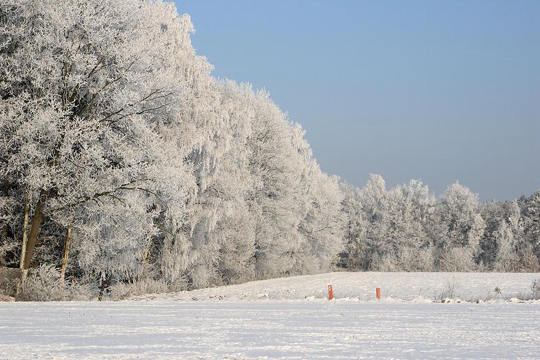 liereman-2009-01-09_119.jpg