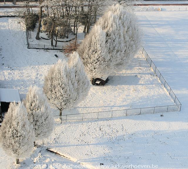 2009-01-10_228.jpg