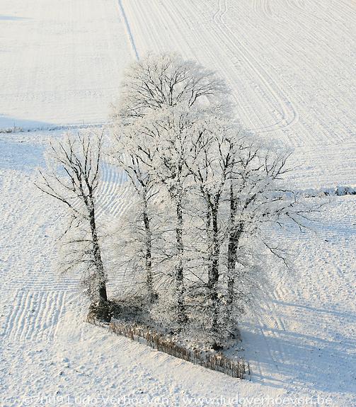 2009-01-10_249.jpg