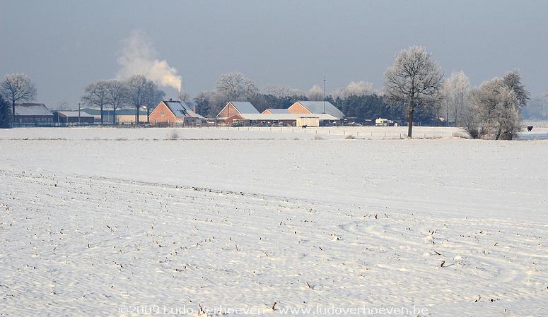 2009-01-10_254.jpg