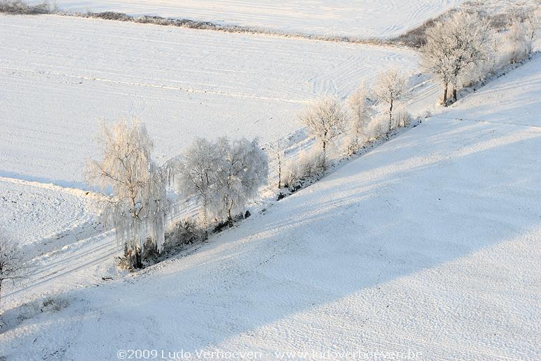 2009-01-10_359.jpg