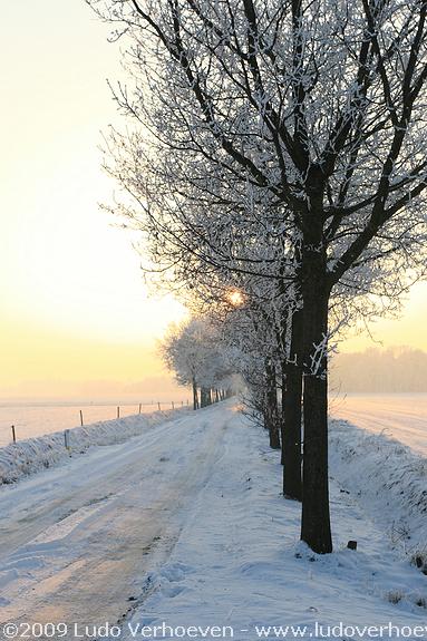 2009-01-10_420.jpg