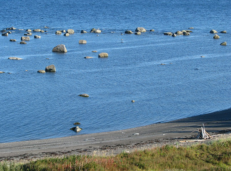 bleut du Saint-Laurent