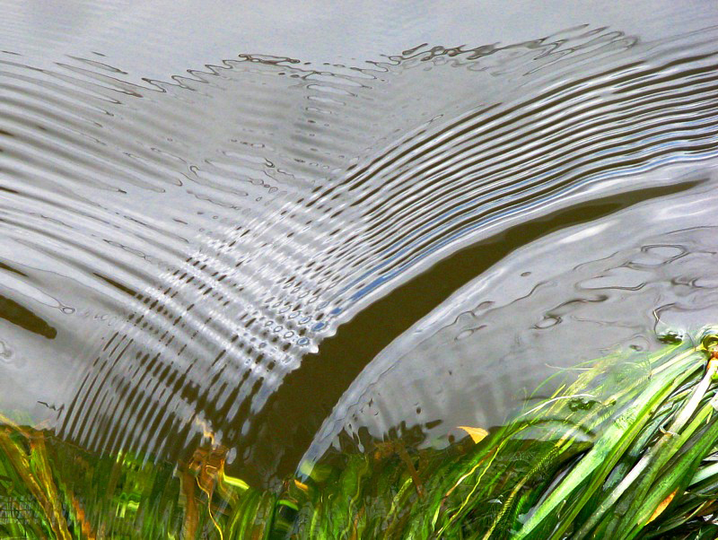 l'arc en eau