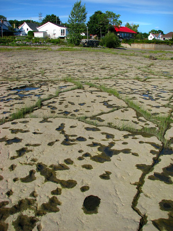 plage enroche de Neuville