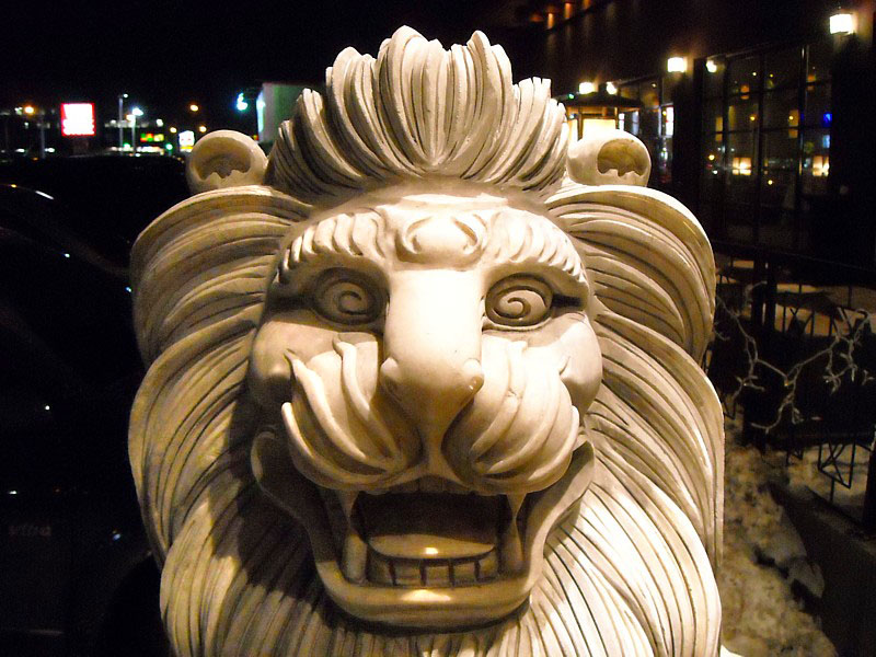 Lion urbain
