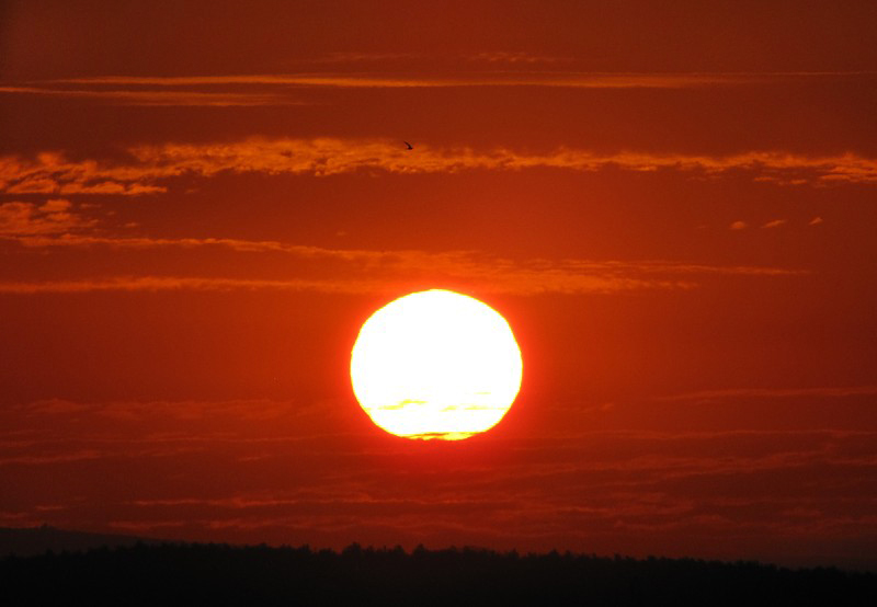 Lever de soleil  Carcassonne