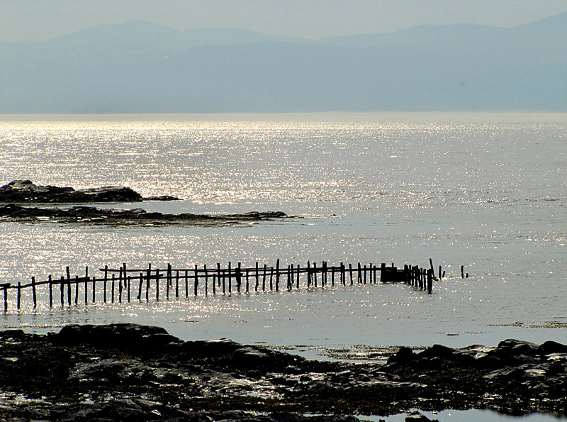 la pêche silencieuse