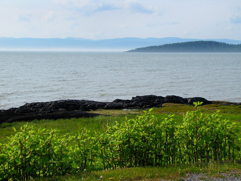 le Saint-Laurent  Kamouraska