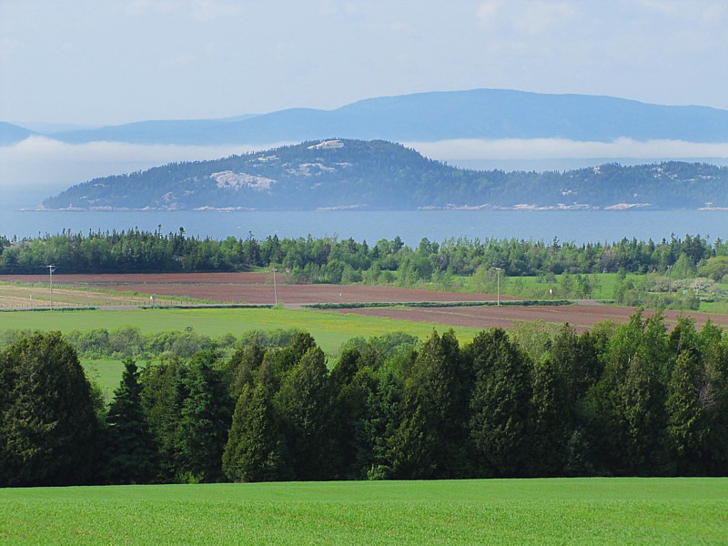 Une ile Pellerin dans la brume