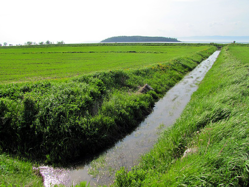canal d'irrigation