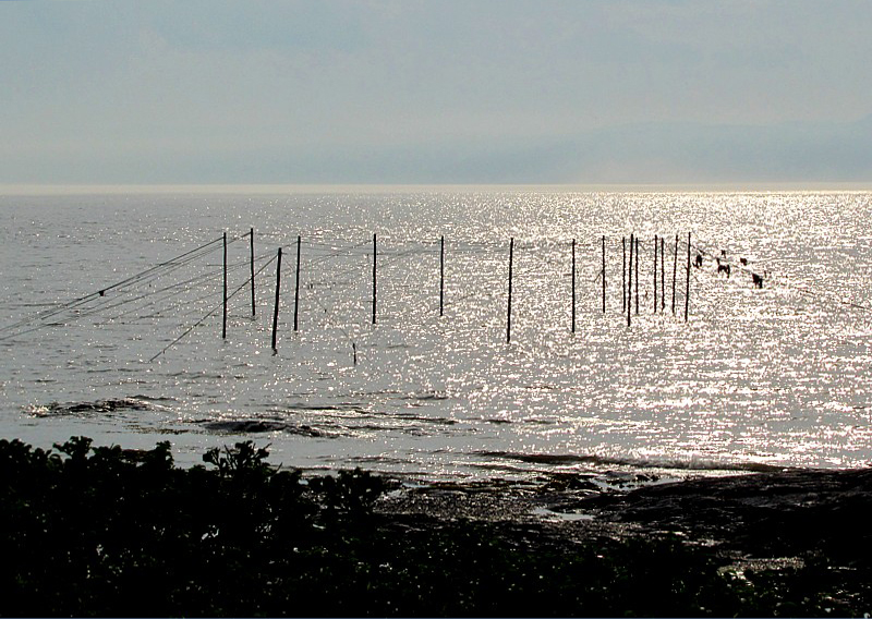 Pêche à Rivière Ouelle