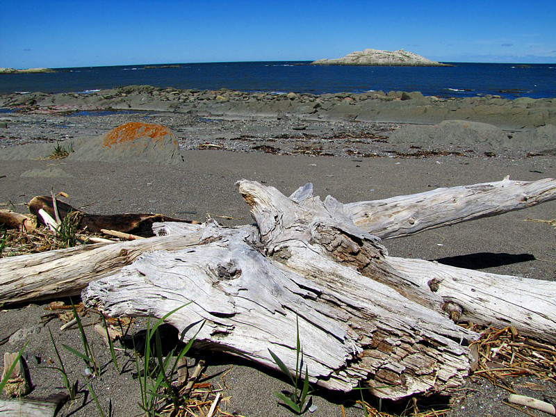 plage de débris