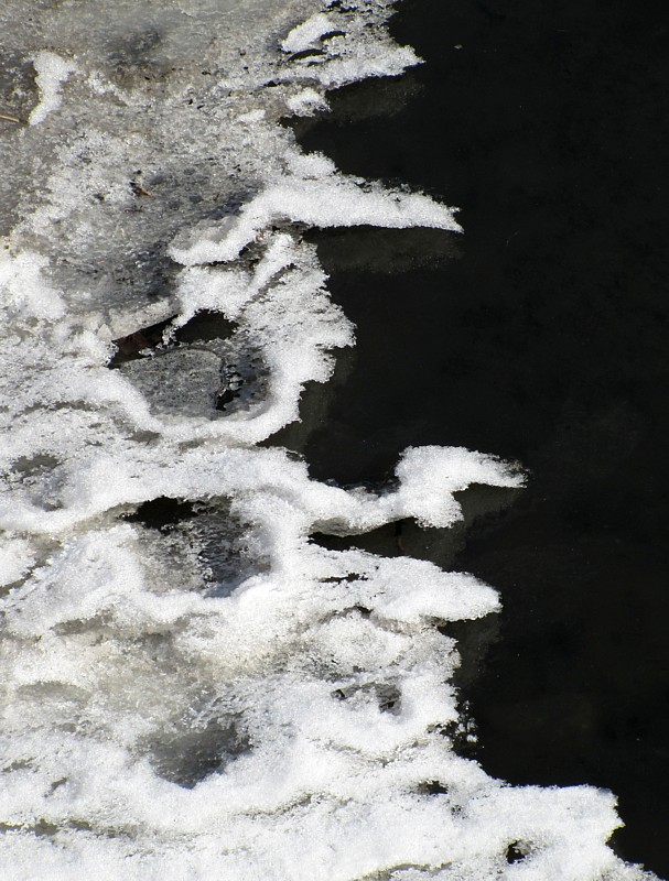 frise neigeuse sur le lac noir