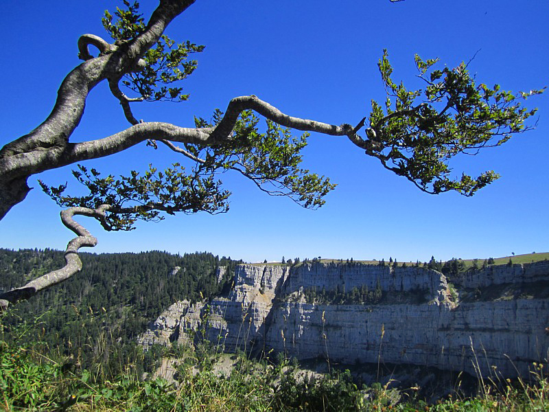 le cirque du creux du van