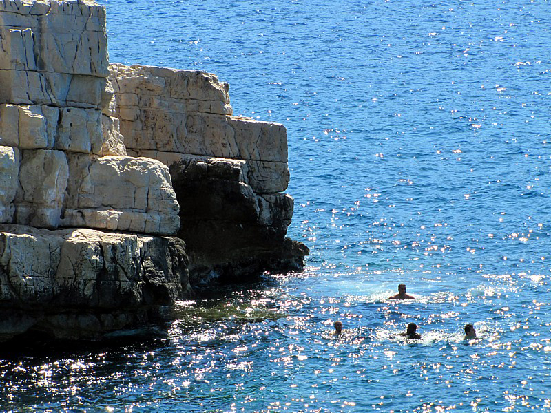 le quatuor  l'eau