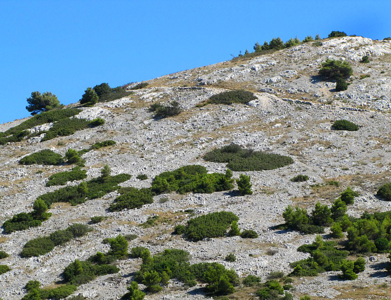 un sentier derrire les calanques