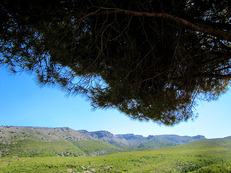Derrire les Calanques, au col de la Ginestre