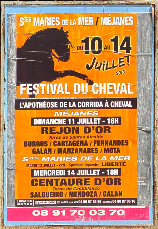 Festival du cheval