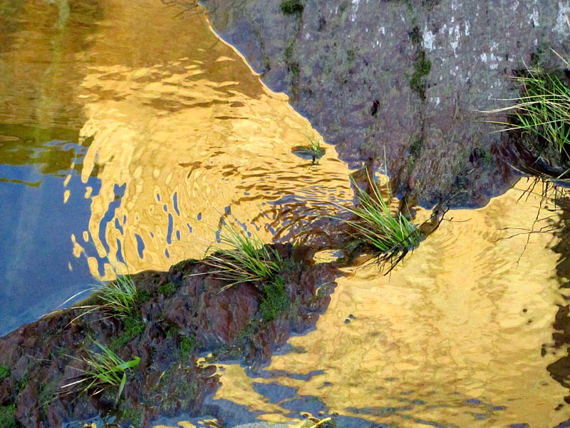 Le ruisseau doré