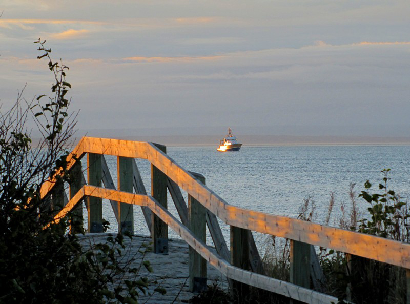 le long de la promenade