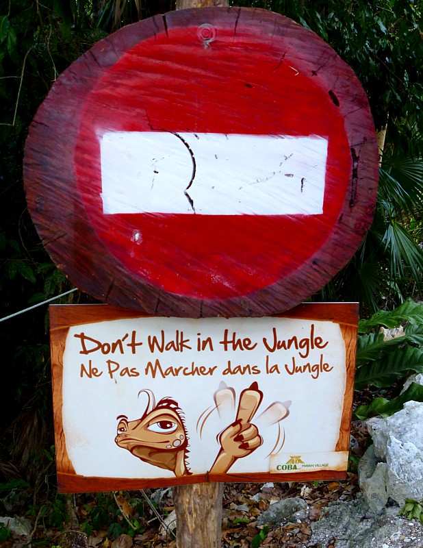 Don't walk in the jungle