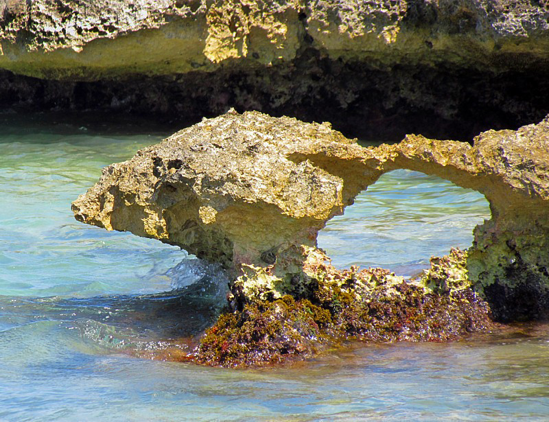 arche de la barrire de corail