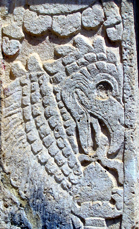 L'oiseau maya