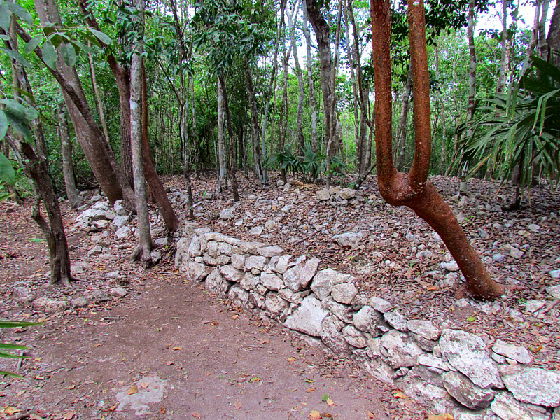 Une ancienne route maya entre Chichen Itza et Coba