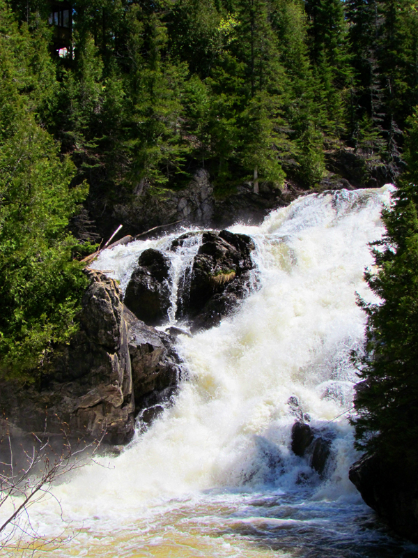  la chute de proche