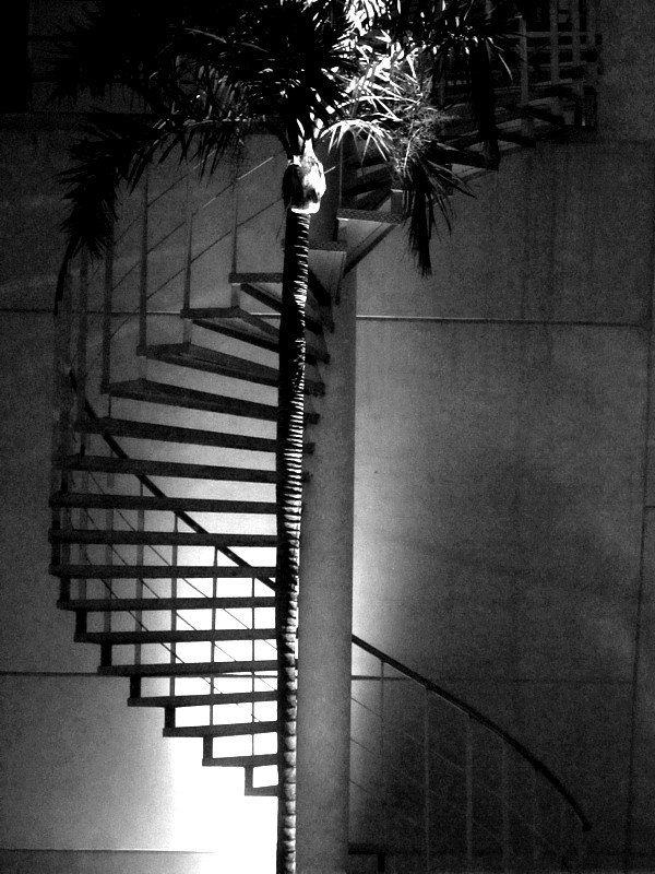 ombre de l'escalier