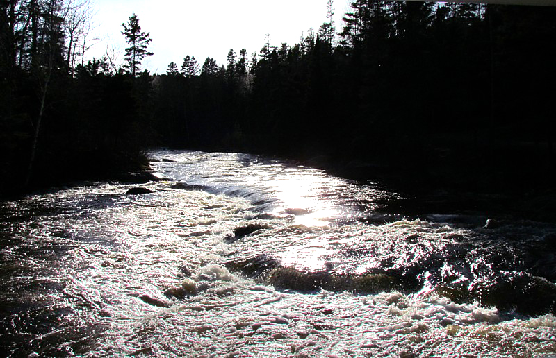 Rivire du moulin  contrejour