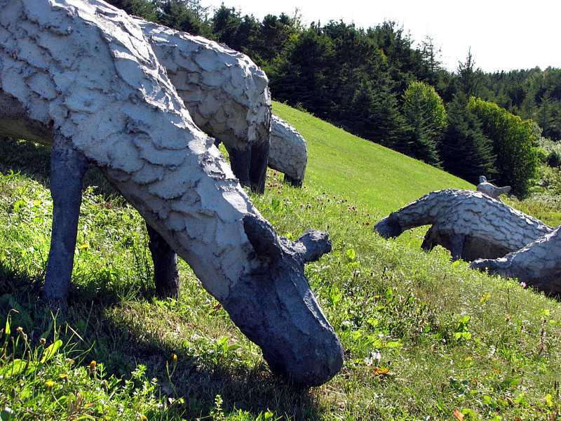 Les moutons de Mont-Joli