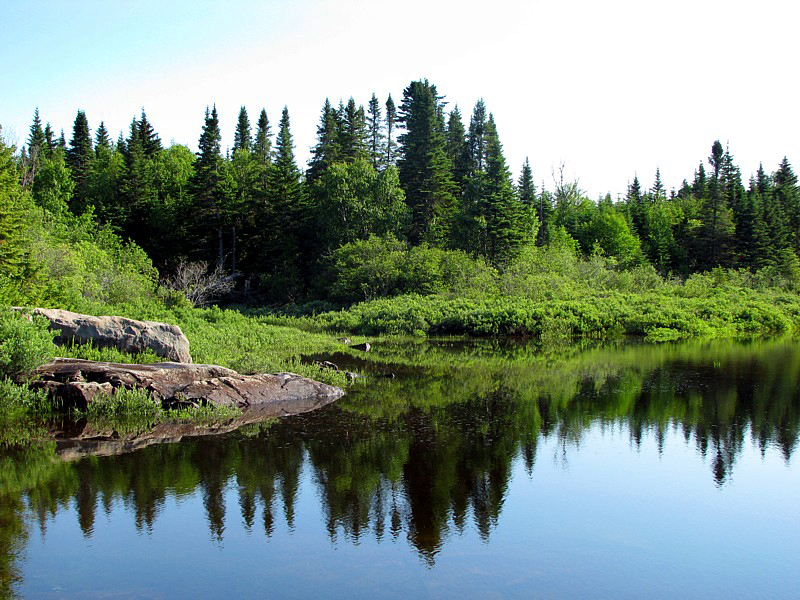 Côte nord sauvage