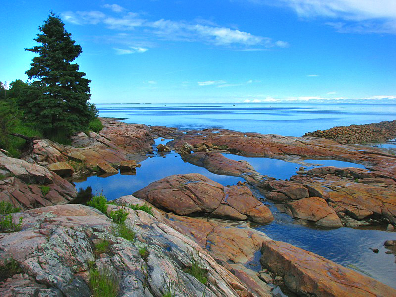 Moyenne côte nord