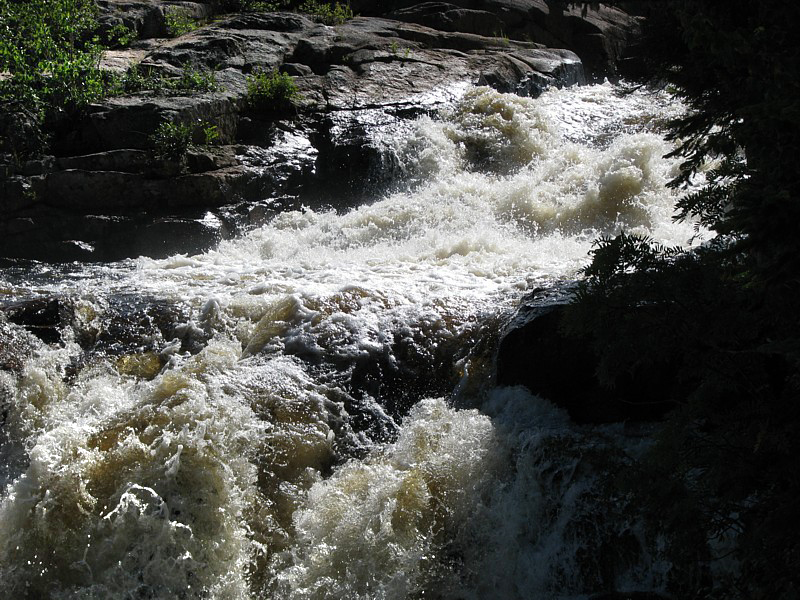 fougue de la papinachois