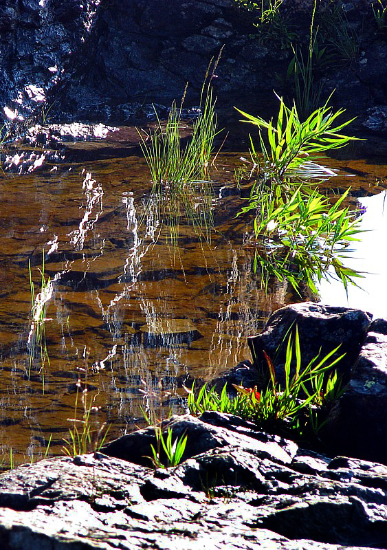 reflets troublants des rochers sur l'eau brune