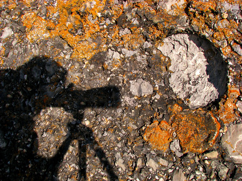 autoportrait sur fond de roches et de lichens