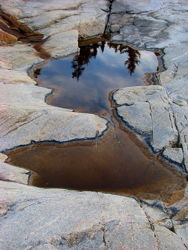 Flaque à Tadoussac