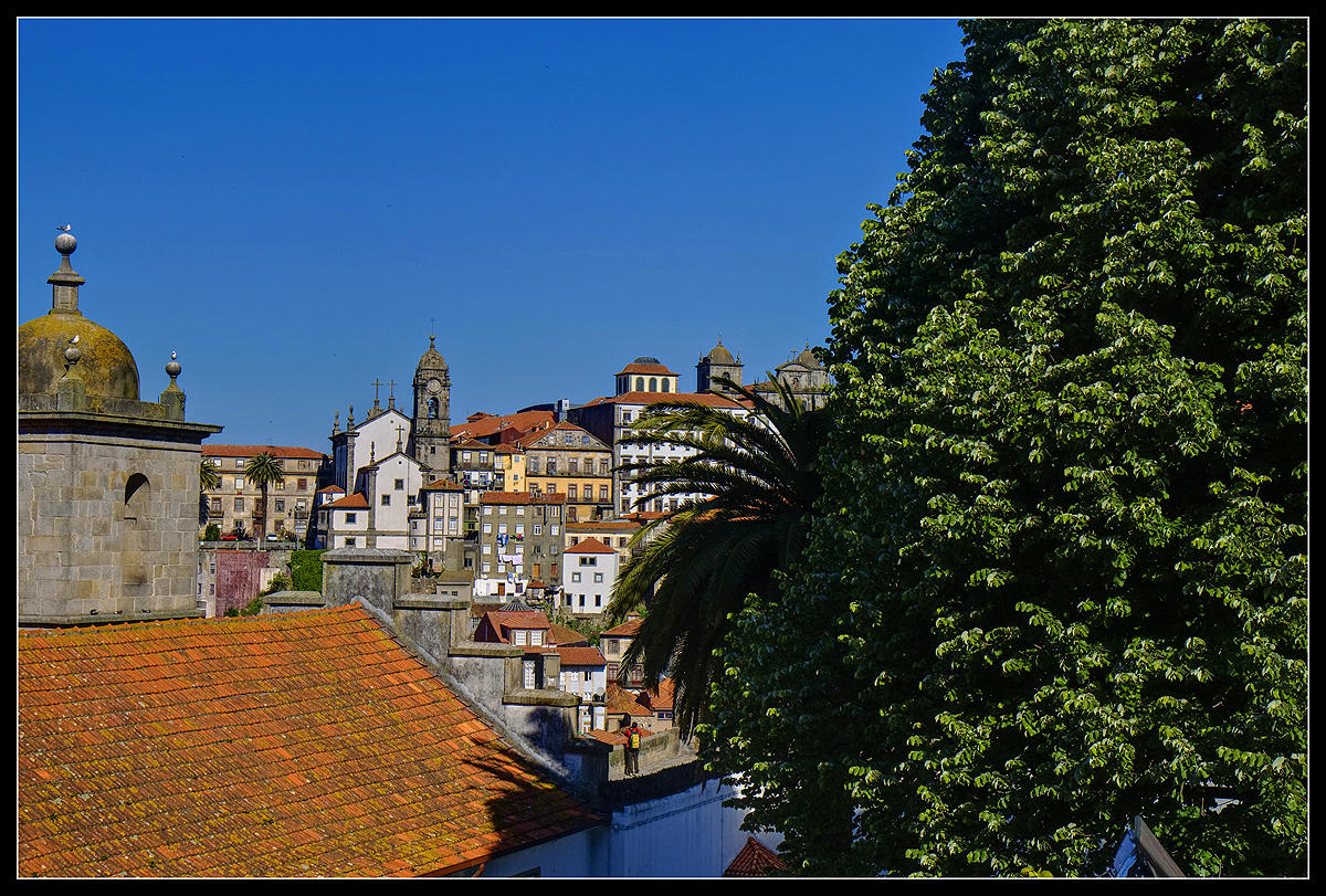 Old Porto - View from S