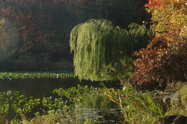 ir-20081023_63.jpg