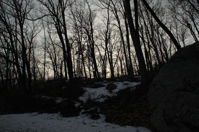 ir-110308_16-43_1140.jpg