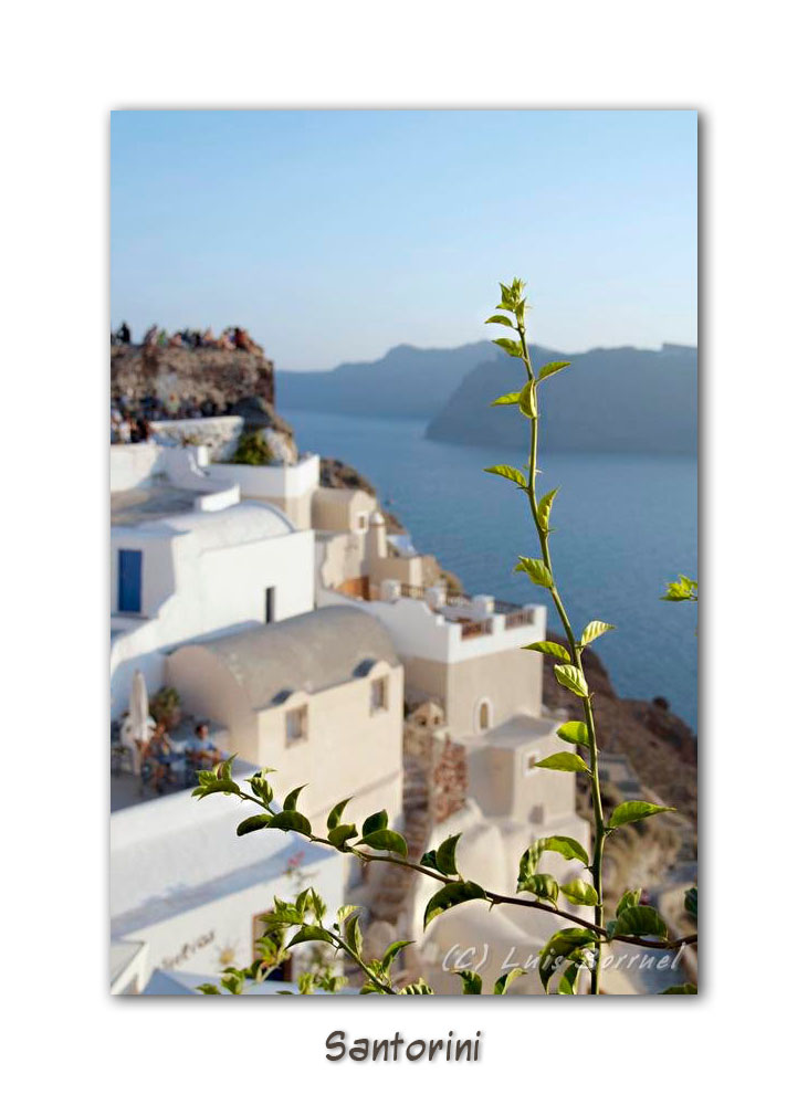 Oia