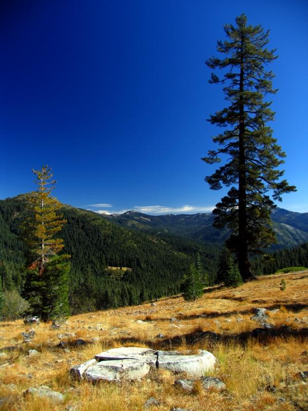 Eagle Peak and Mt Shasta in the distance