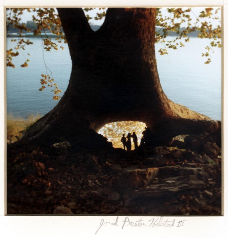 Josiahs  Tree and Cave