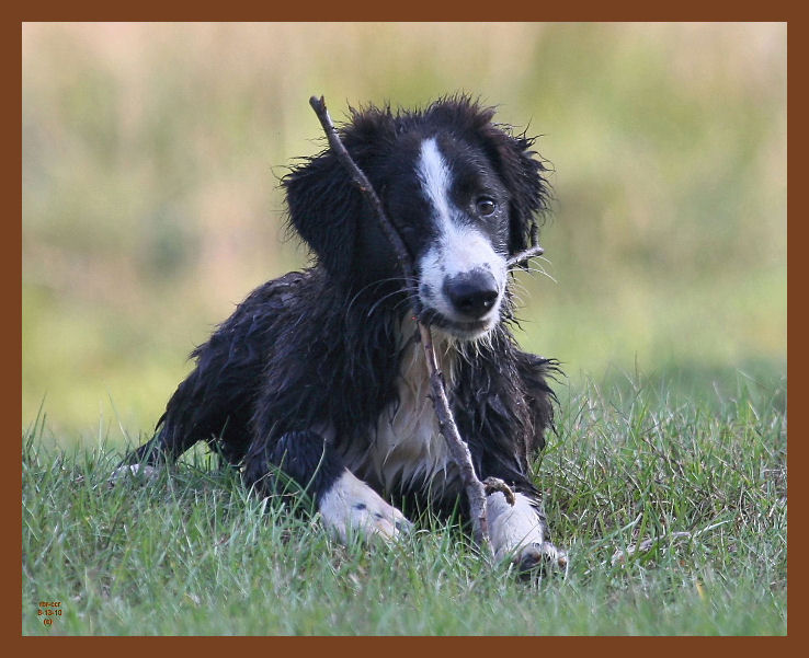 jake-457-8-13-10b.JPG