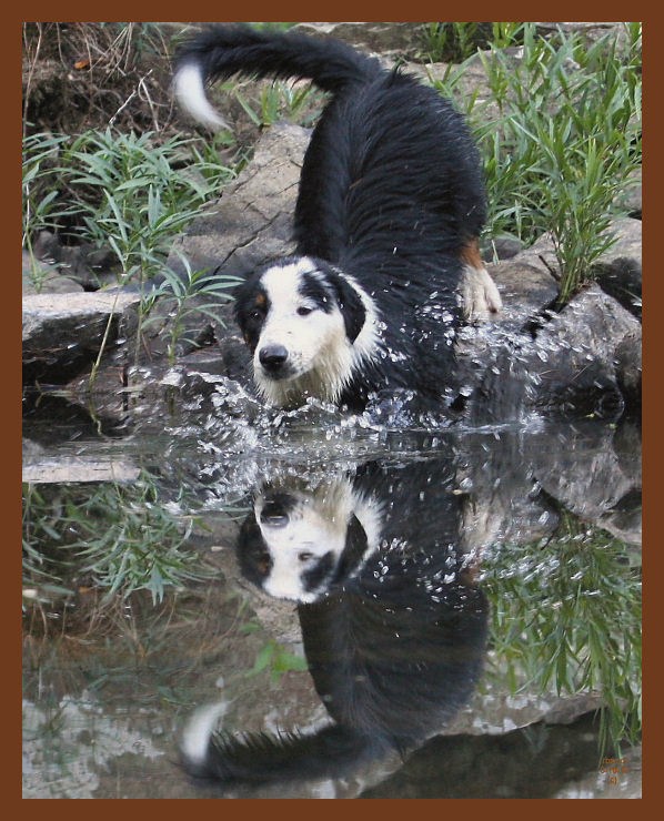 8-16-10-monty-273c1b.JPG