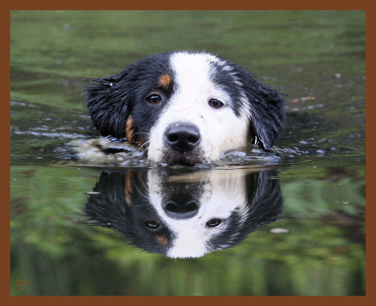 8-16-10-monty-238b.JPG