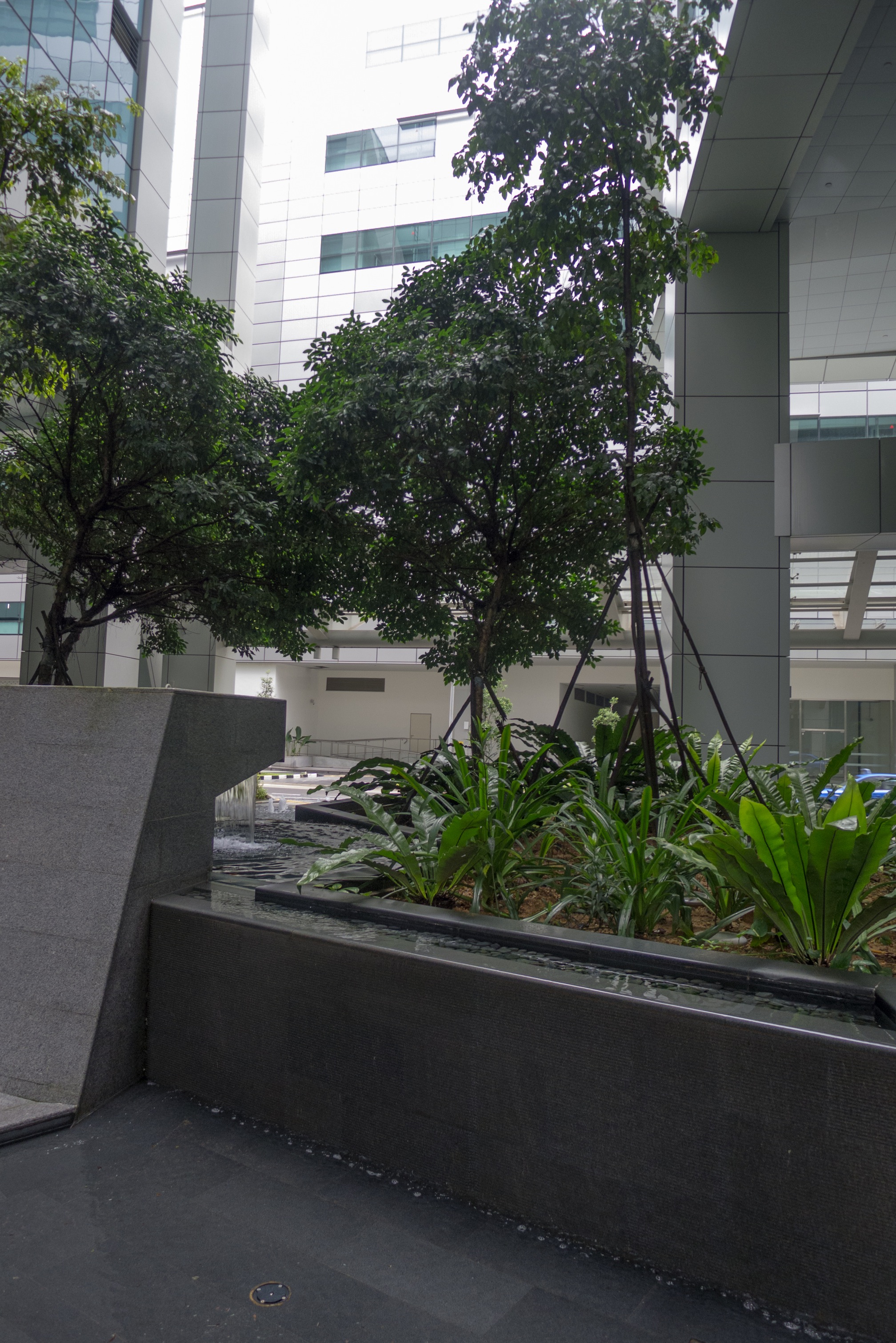20120517 - 0004 - VMG - Singapore site visits.jpg