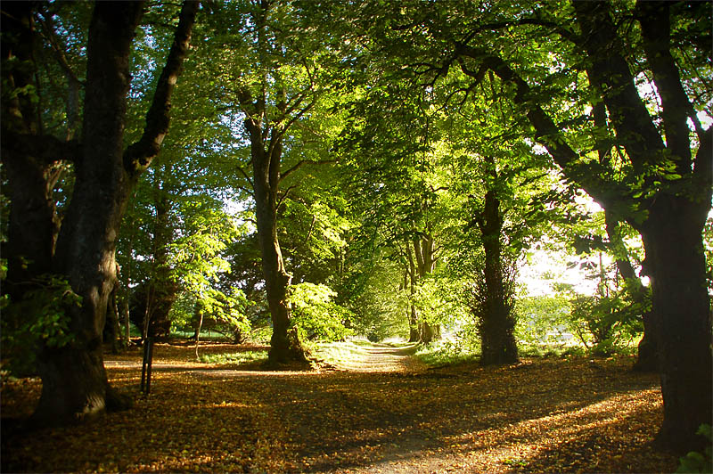 11th October 2008 <br> by the river